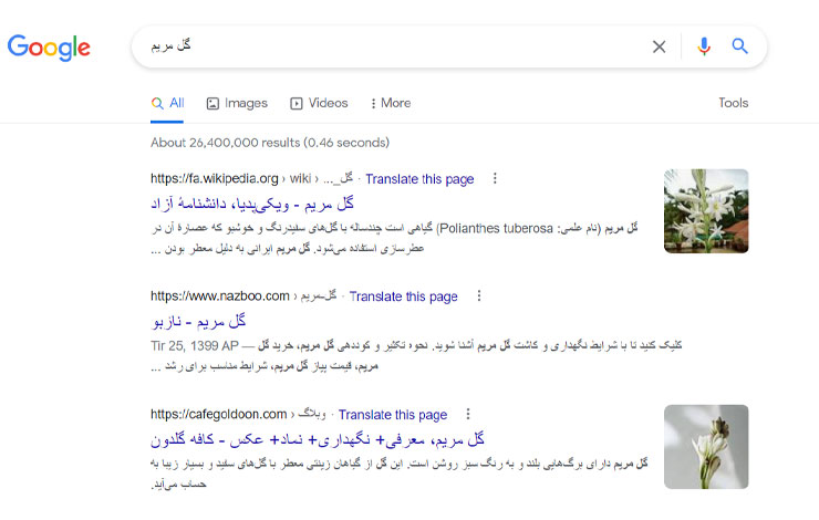 صفحهٔ نتایج جست‌وجوی گوگل برای عبارت گل مریم