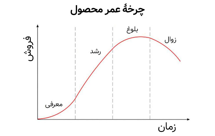 چرخه عمر محصول