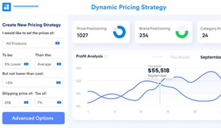 dynamic pricing